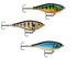 Rapala X-Rap Twitchin Shad 8cm